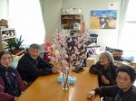 桜　さくら　春が来た！！